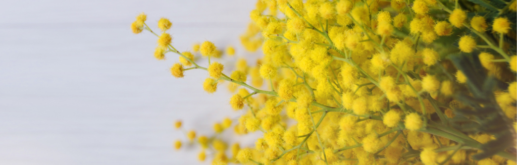 Дизайн без названия - 2024-03-06T125948.203.png Дизайн без названия - 2024-03-06T125948.203.png