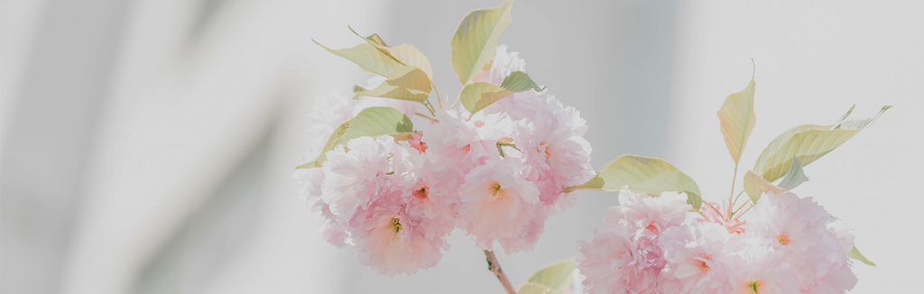 C Днем Легкой Промышленности